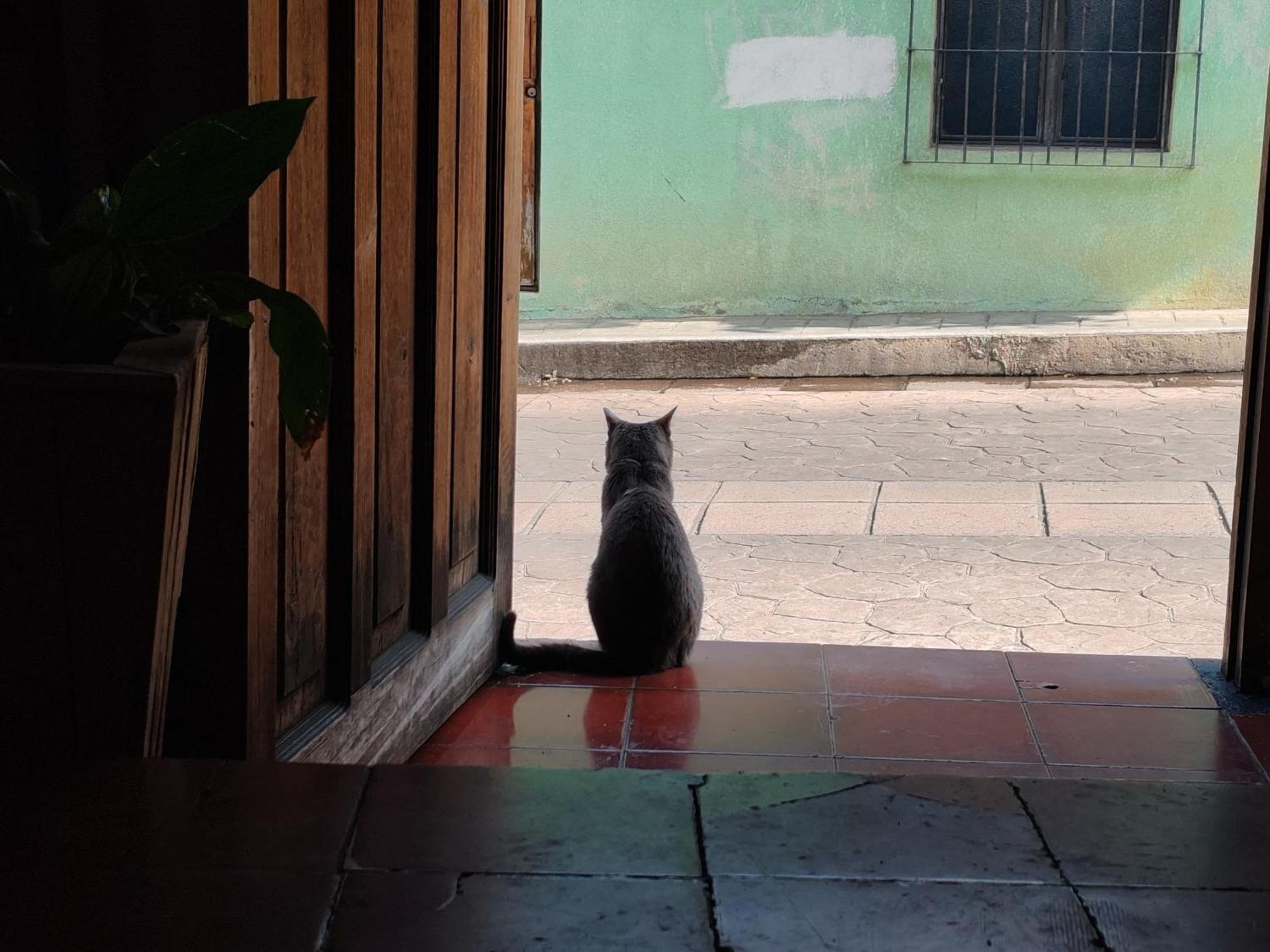 Casa Satoshi Vandrerhjem San Cristóbal de Las Casas Eksteriør bilde